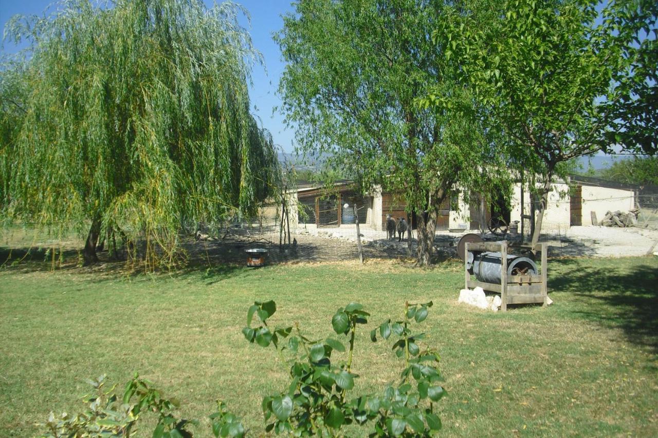 Apartament Lou Mas Li Pitchoun "L'Olivade" Gordes Zewnętrze zdjęcie
