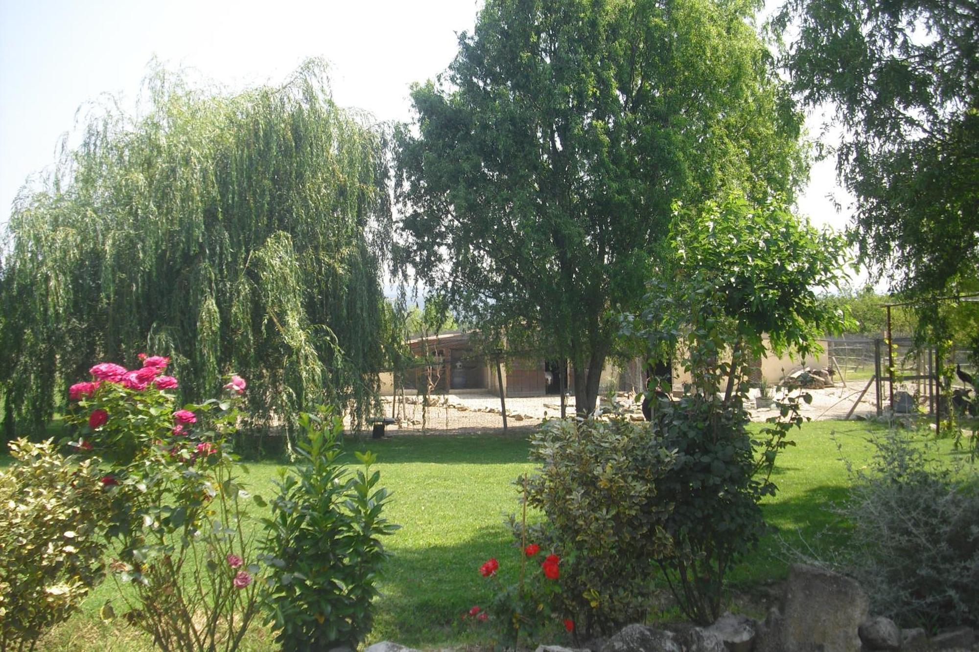 Apartament Lou Mas Li Pitchoun "L'Olivade" Gordes Zewnętrze zdjęcie